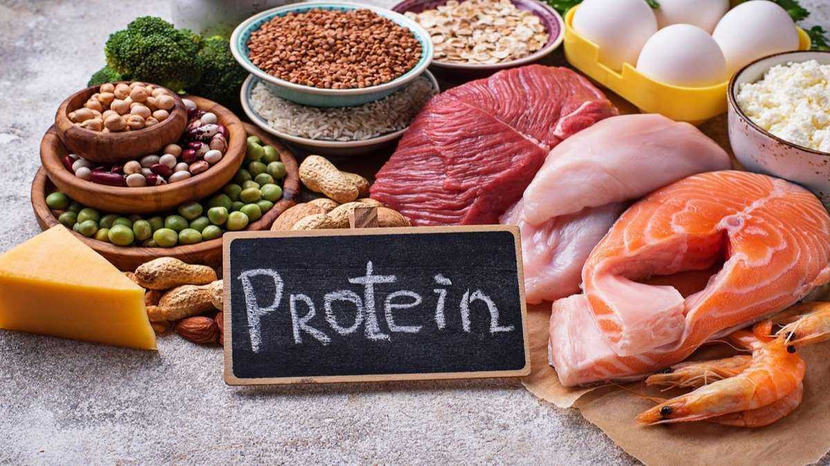 Hàm lượng Protein cần thiết cho cơ thể