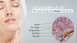 collagen tự nhiên